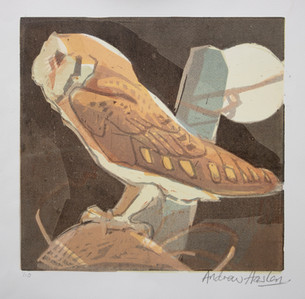Andrew_Haslen_Barn_Owl