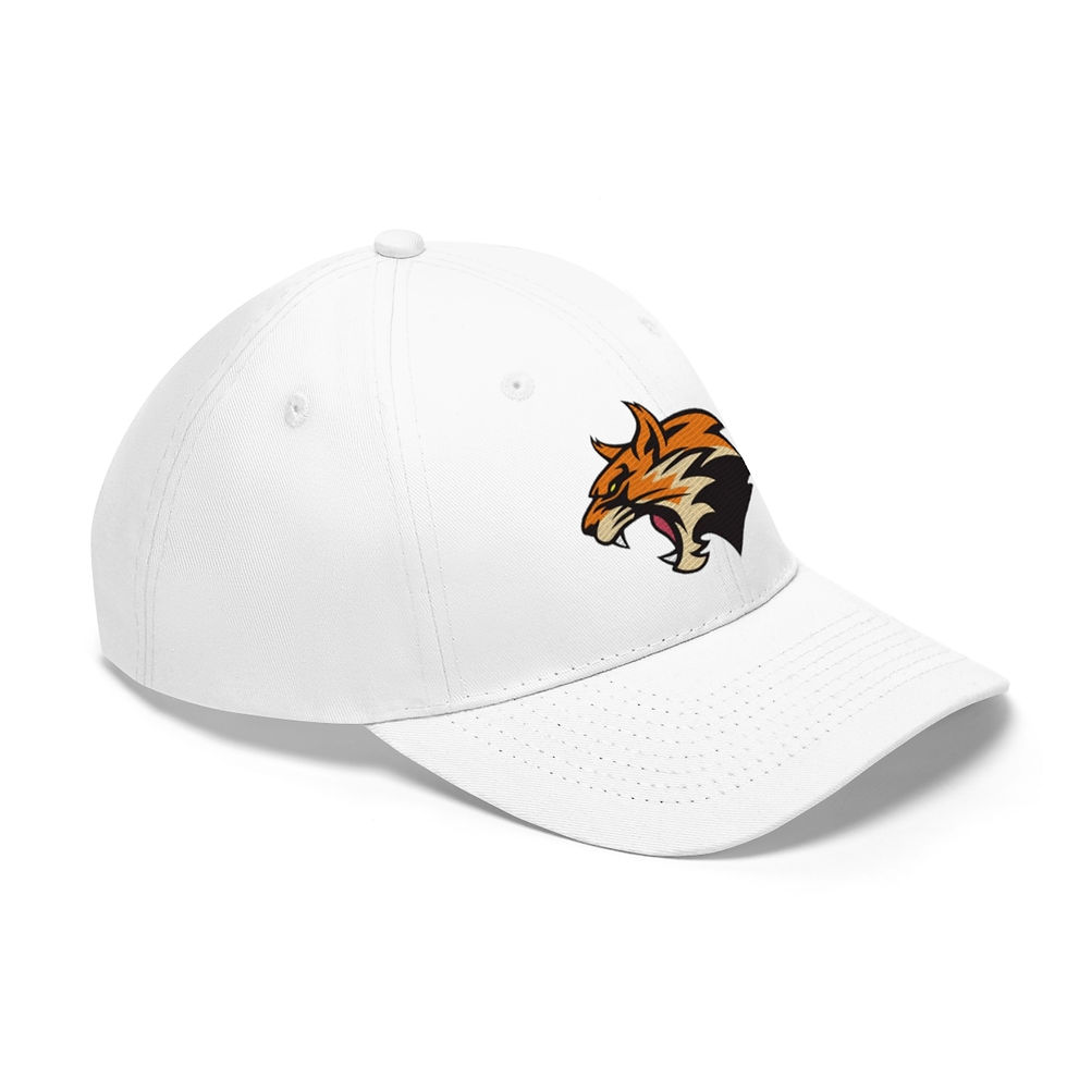 Thumbnail: Wildcat Hat