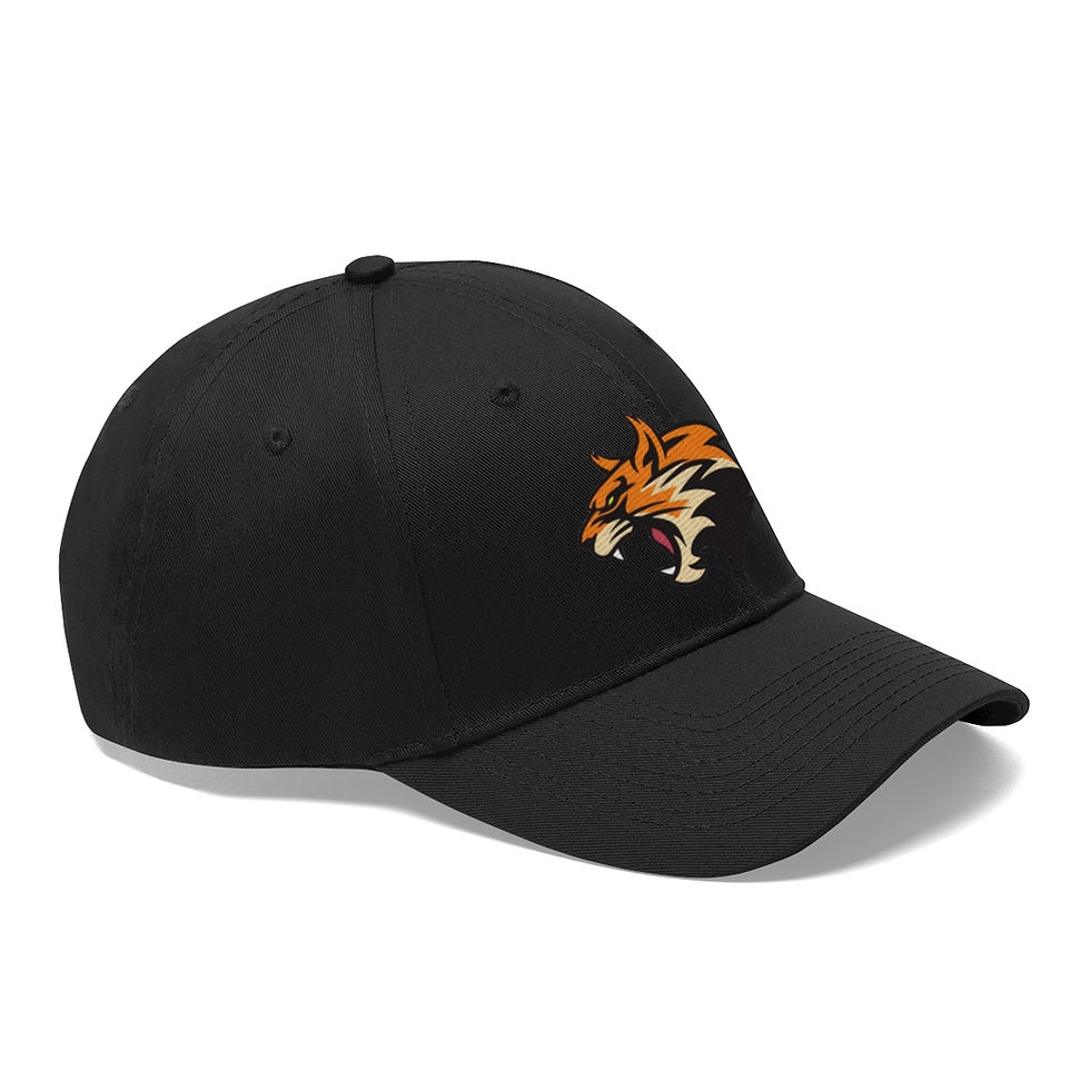 Thumbnail: Wildcat Hat