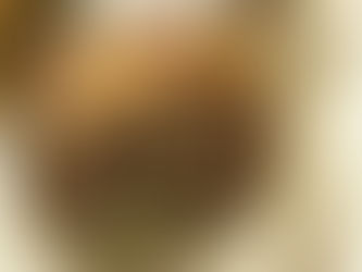 細井世思子展「白い夜のサーカス」