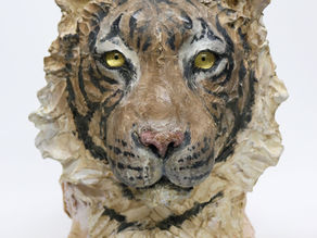 瀬戸優展　月を知る