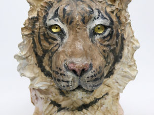 瀬戸優展　月を知る