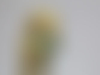 平良光子展「受胎告知」