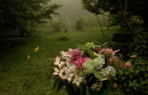 エヴァ・ミクラス写真展 ”My favorite things”