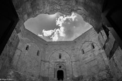 DSC_2471