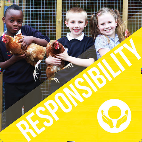 V_RESPONSIBILITY