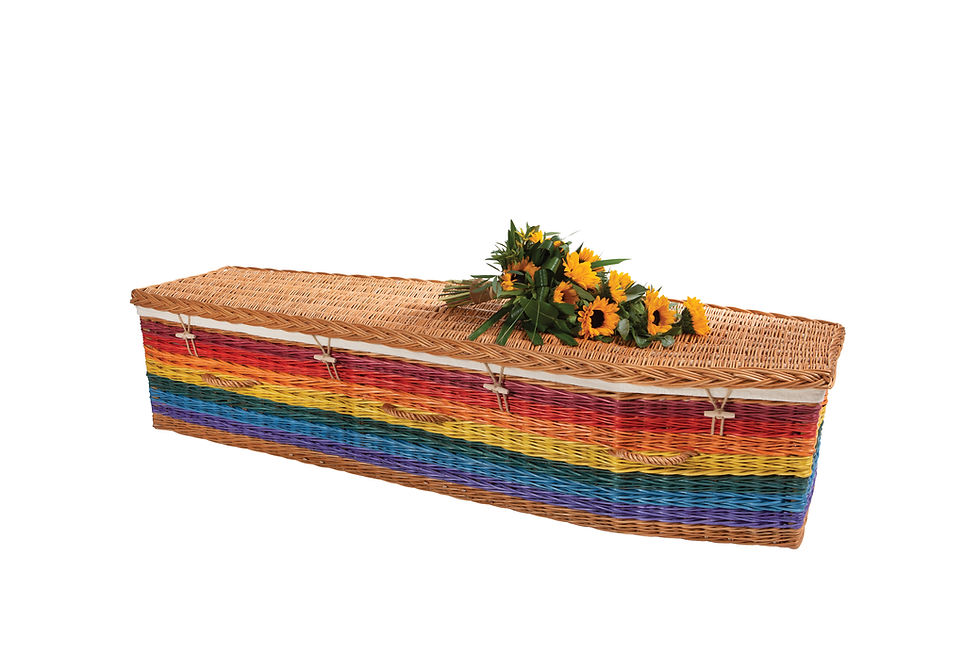 Μικρογραφία: natural Somerset willow rainbow coffin