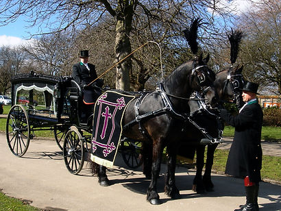 horse drawn hearse for hire