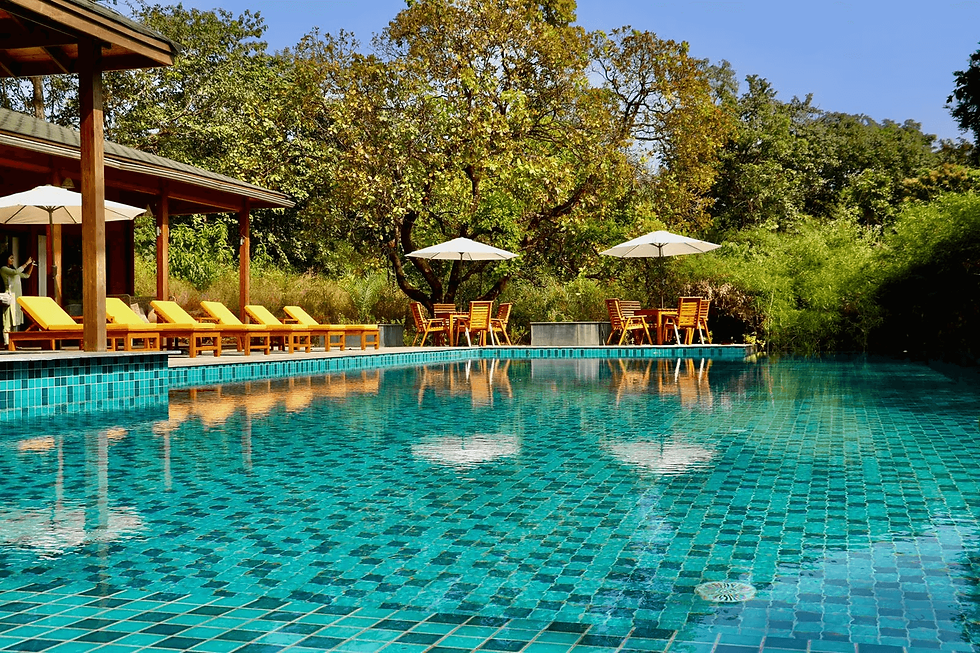 The Postcard Goa, Netravali