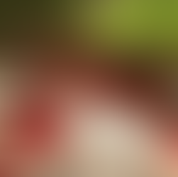 Nidhivan Temple, Vrindavan: Where Krishna and Radha Come Every Night