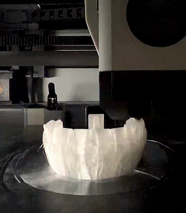 250124-teeth model-upper-2.gif