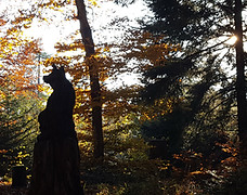 20161027_172310.jpg