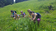 20180616_140347.jpg