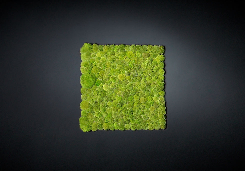 Вертикальный сад POLEMOSS