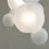 Thumbnail: BOLLE