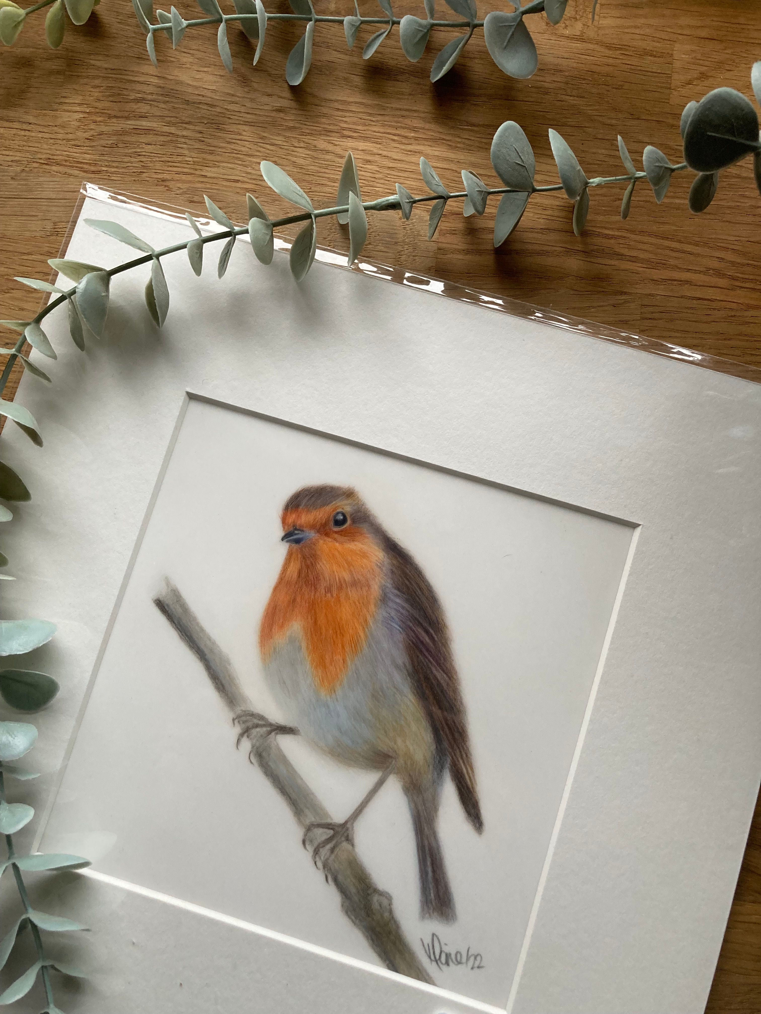Original - Robin on a branch