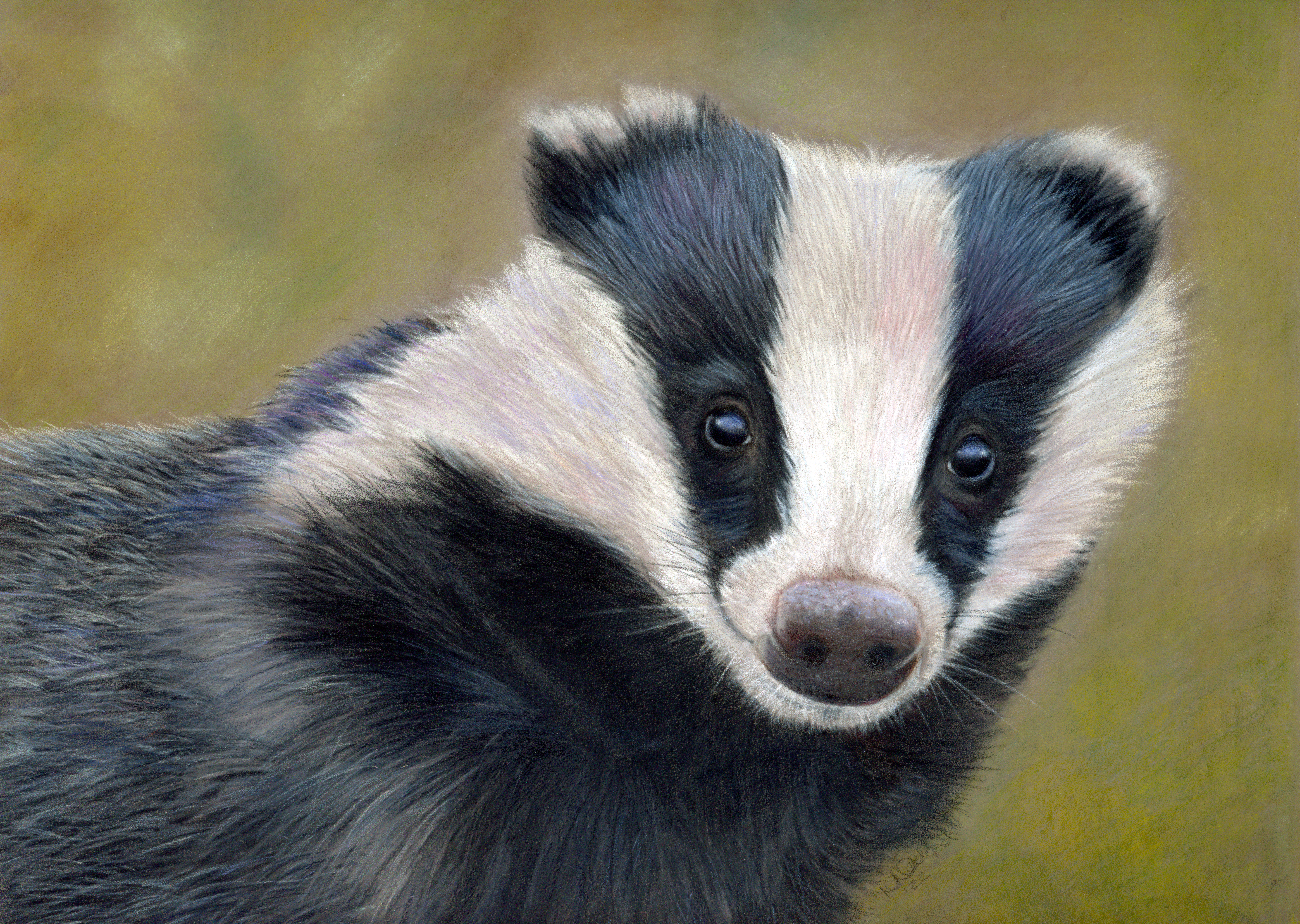 Barry the Badger - Original artwork