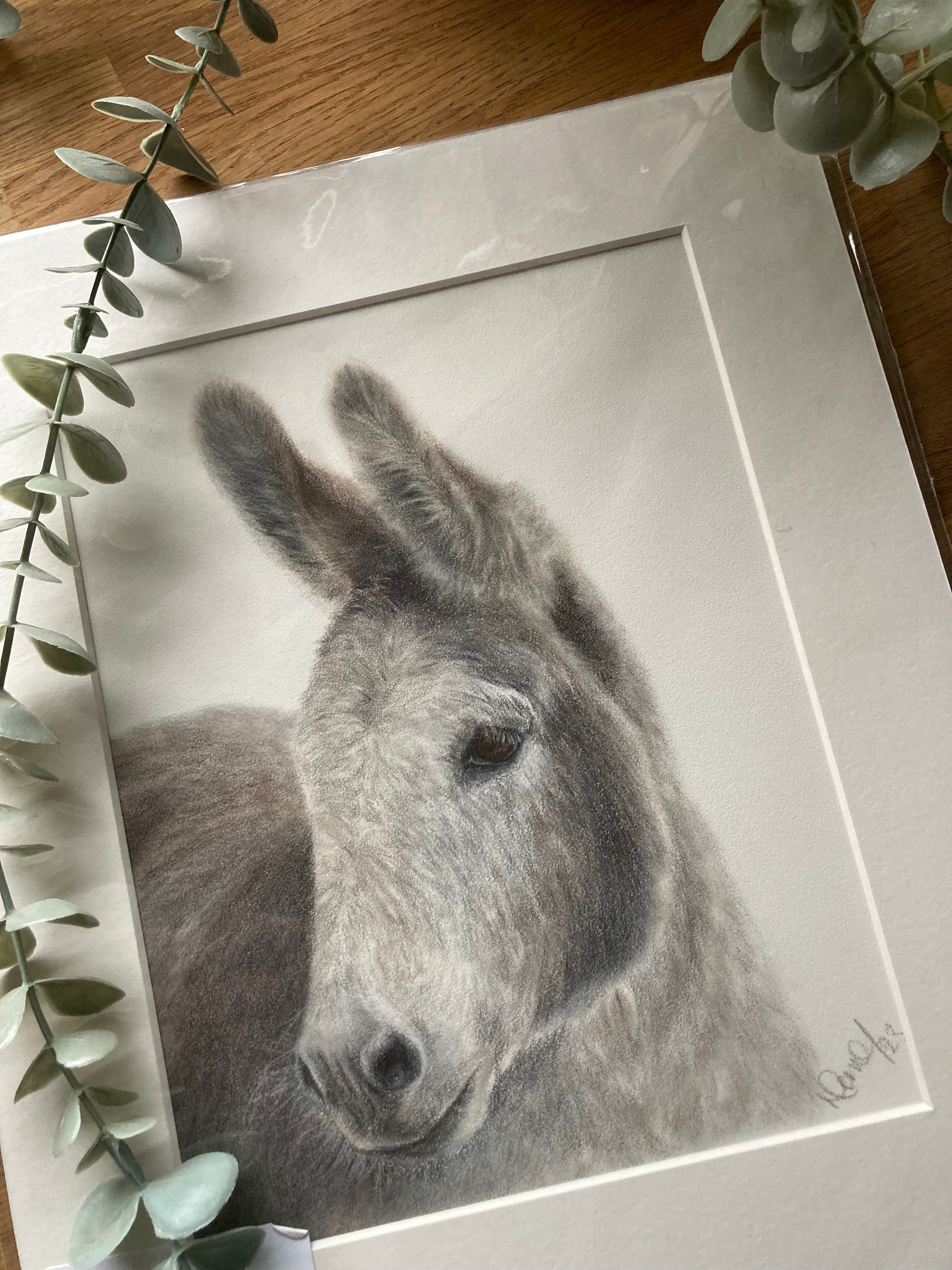 Original - Donkey