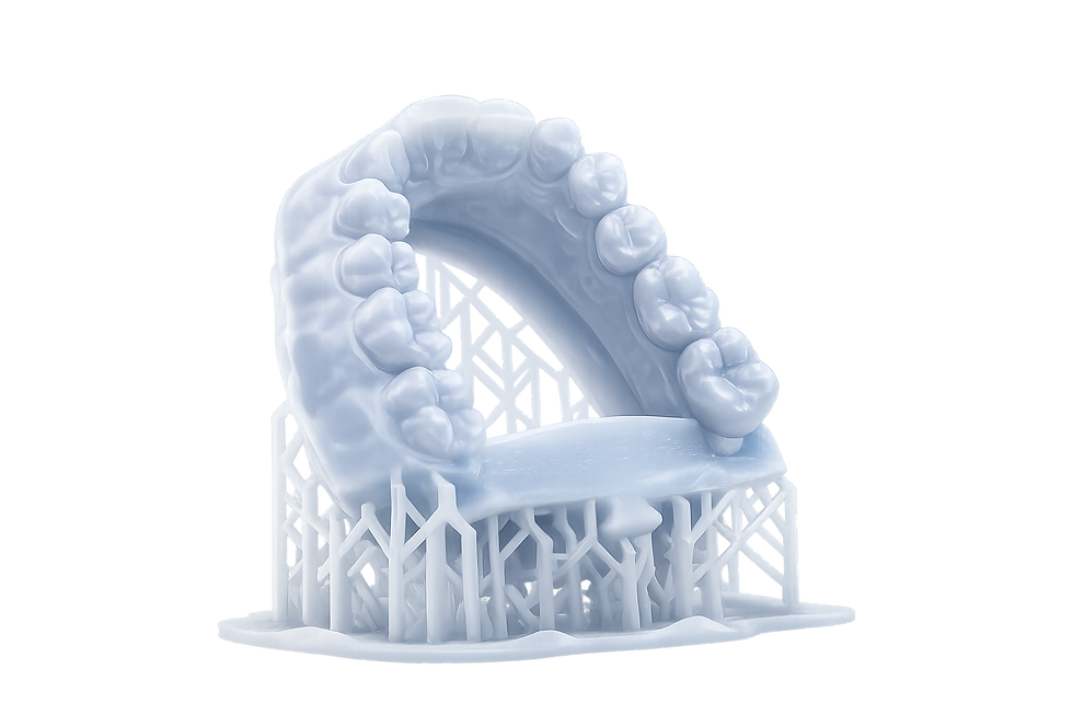 3D Printed Models.png