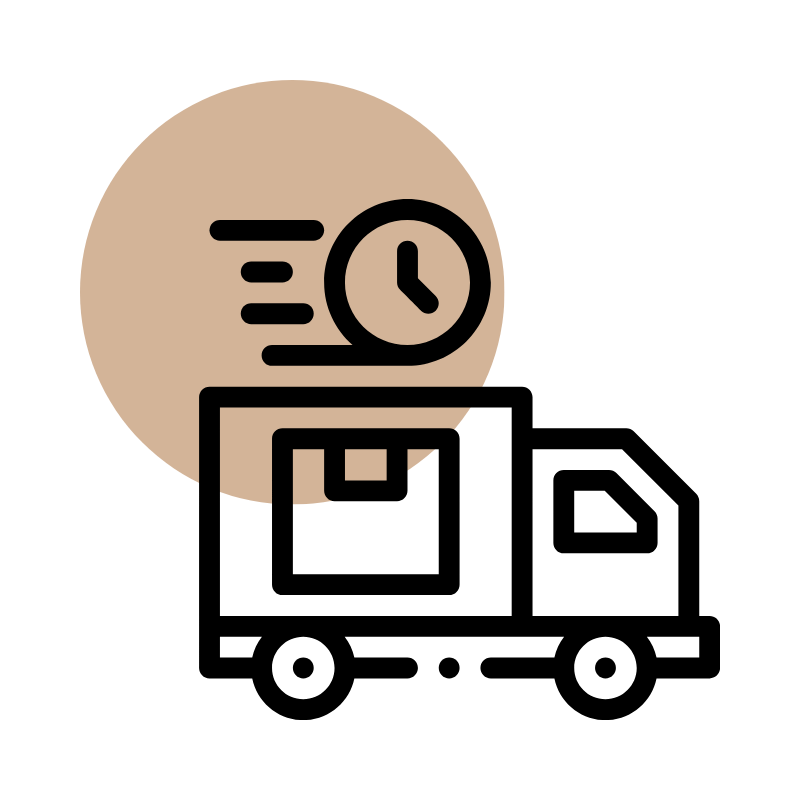 Icon of fast and reliable prescription delivery service