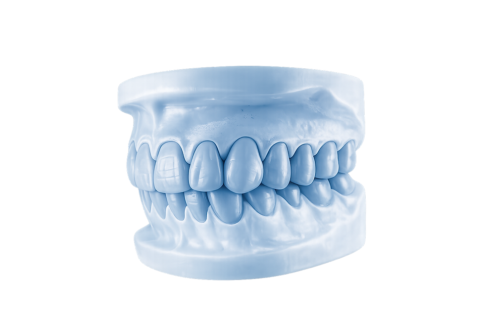 Wax-Up.png