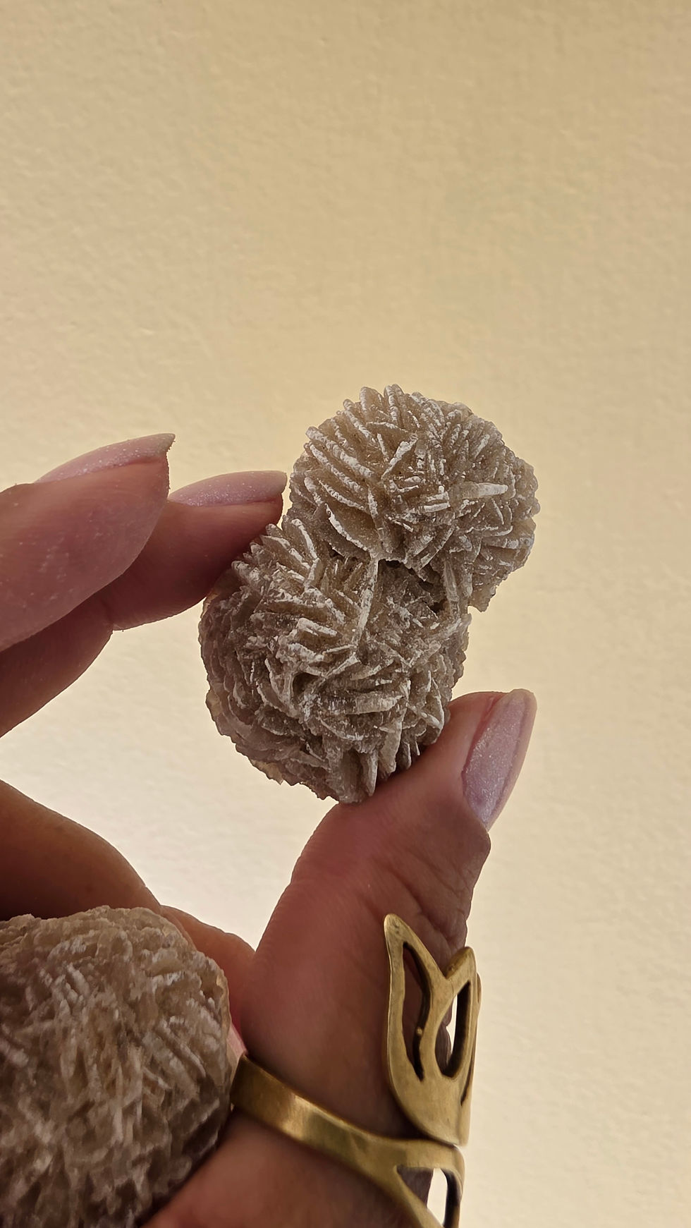 Miniatura: Rosa do Deserto (Formações Especiais) 04