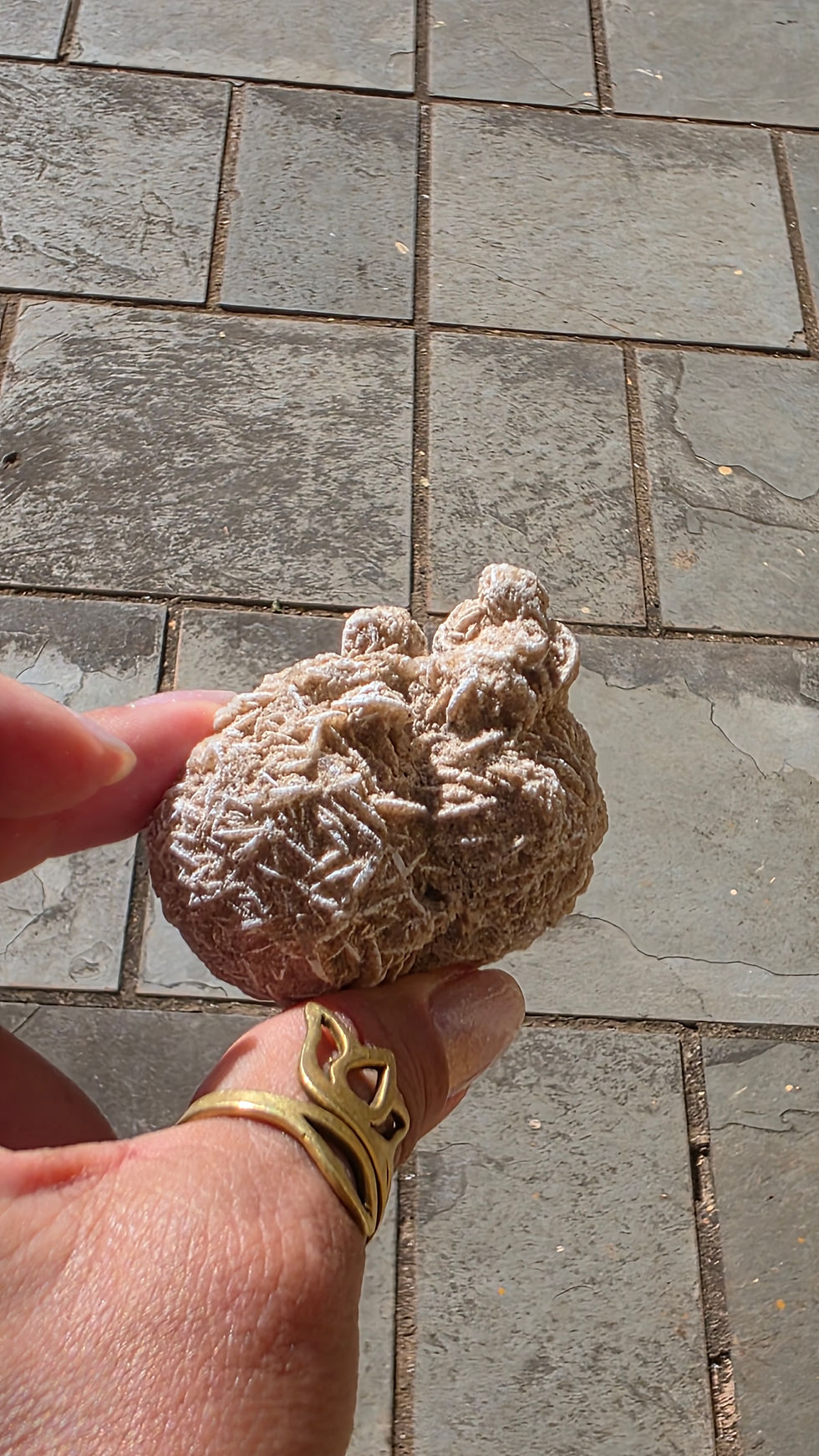 Miniatura: Rosa do Deserto (Formações Especiais) 06