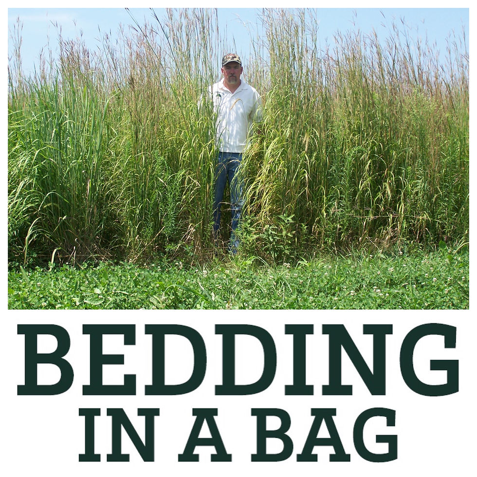 Thumbnail: Bedding-in-a-bag