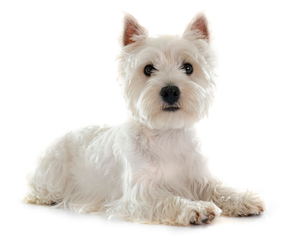 iStock_73966189_MEDIUM