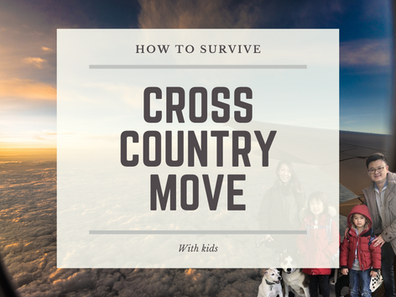 How to Survive Cross Country Move with Kids and Dogs 