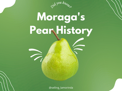 Fun Facts: Moraga's Pear History 