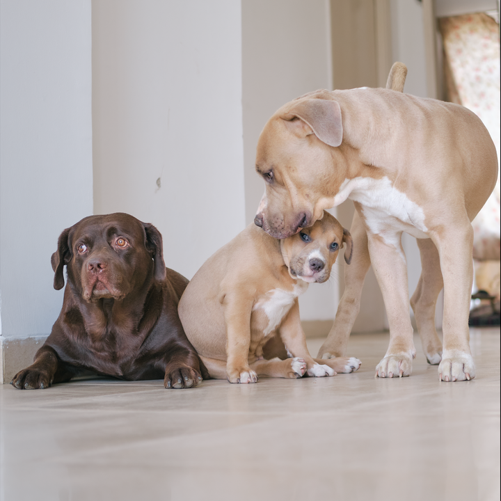 Screenshot 2022-07-18 at 7.11.48 AM.png