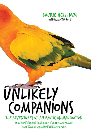 Unlikely Companions Book Cover
