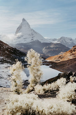 jaypeg-preview-mountainglam-jaypegphoto&film-353 Kopie.jpg