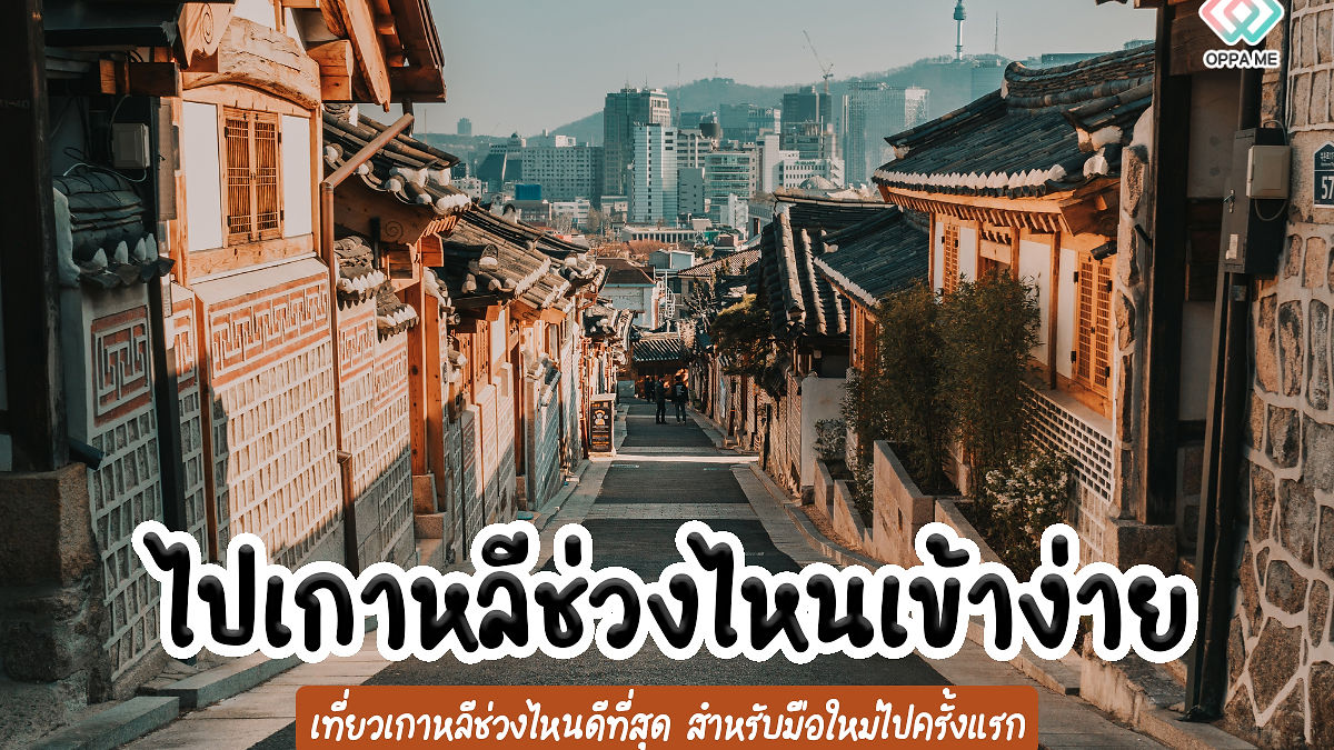 Cover image for travelling in Korea