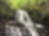 IMG_9046.jpeg