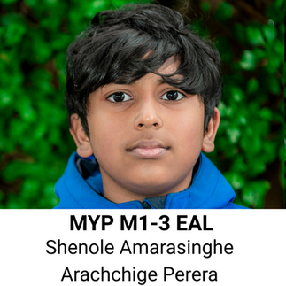 Shenole Amarasinghe Arachchige 