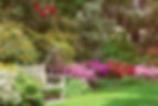 yard-design-services.jpg