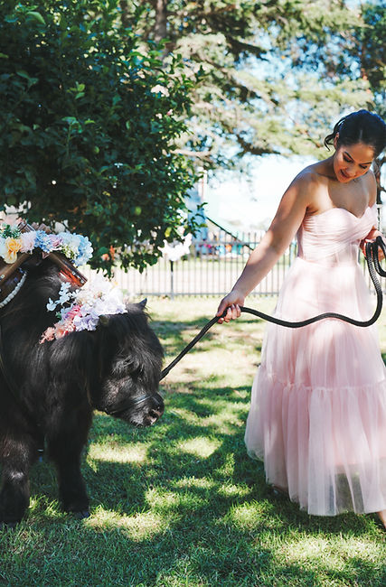 Bride with Farmyard Wedding Waiters