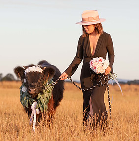 Farmyard Wedding Waiters with Miniature Highland Cows