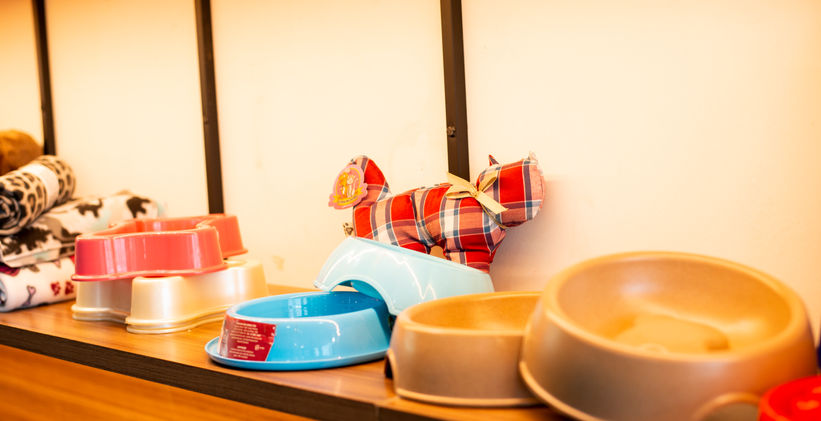 reinauguraçãp loja SPA (18).jpg