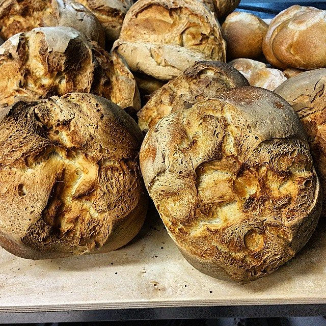 pane