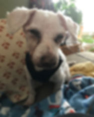 image0 (6).jpeg