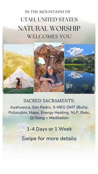 Invitation to Natural Worship Retreat featuring safe and legal plant medicines and healing tools for deep healing and integration.