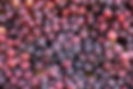 red-grapes-grape-fruits-fruit-background.jpg