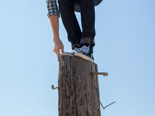 From Markets to Medicine: How Risk Runs the World