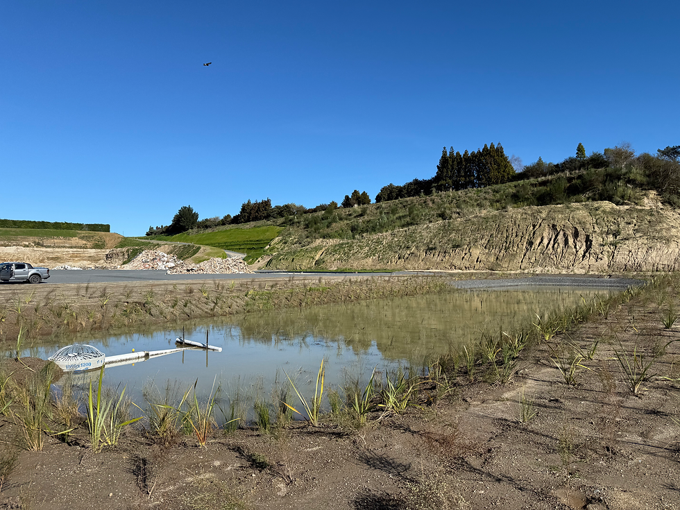 DJI_0167 CATRA TOP DOWN 1.jpg