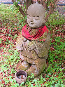 IMG_2215_edited.jpg