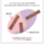 섬네일: 안도 효소