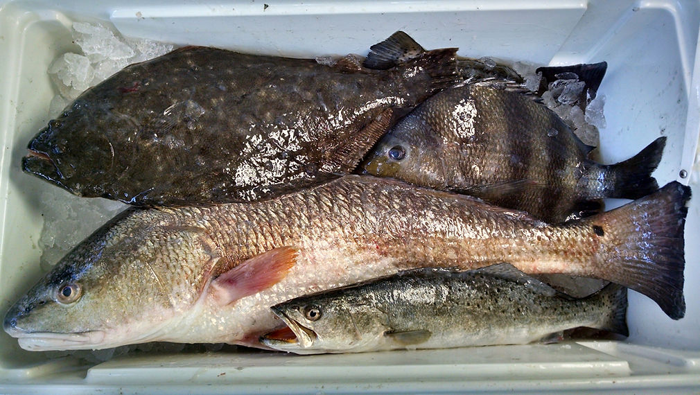 IMG_20191110_080555869_HDR (2).jpg